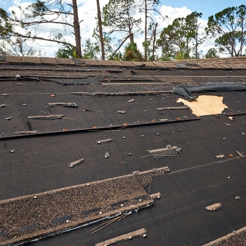 close-up of a severely damaged shingle roof