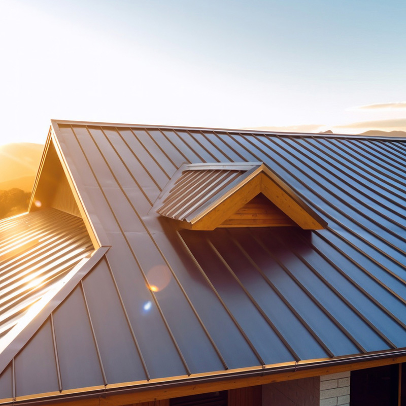 Metal Roofing